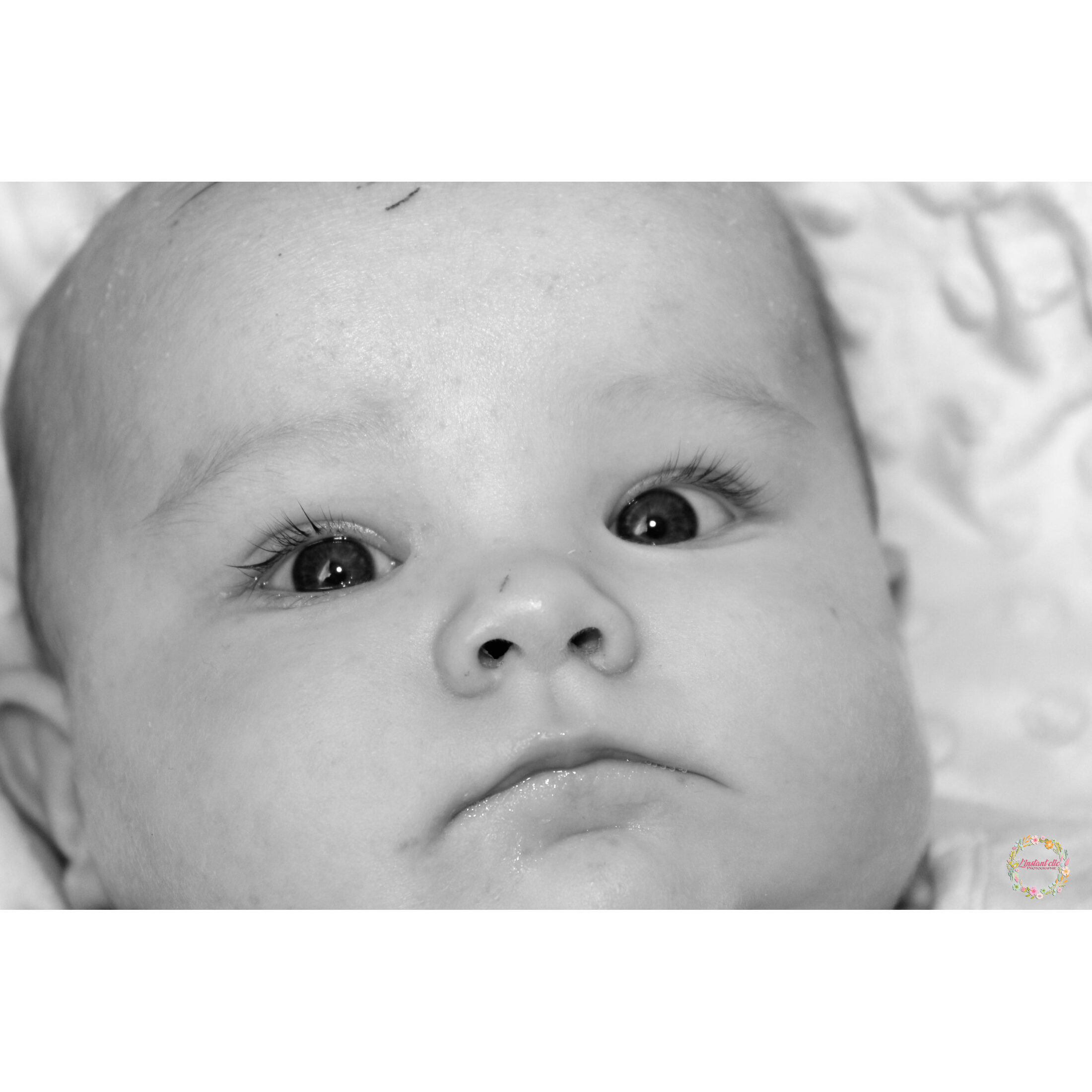 ELYZA
